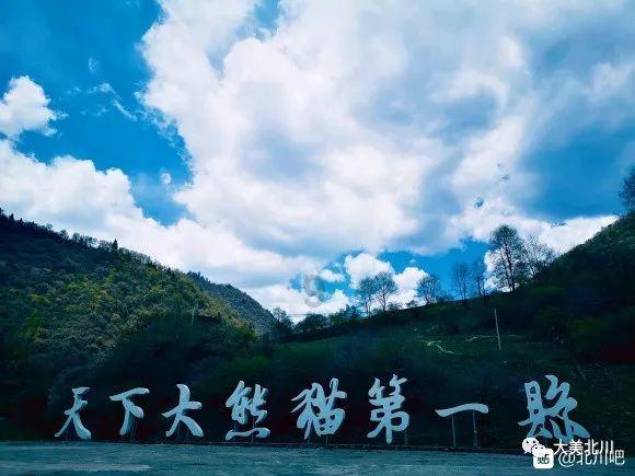 塞尔达荒野之息