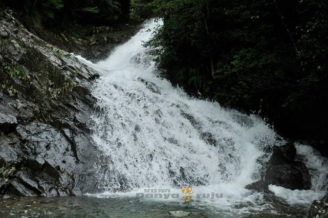 济南肝病医生田飞怎么样?在哪里坐诊?